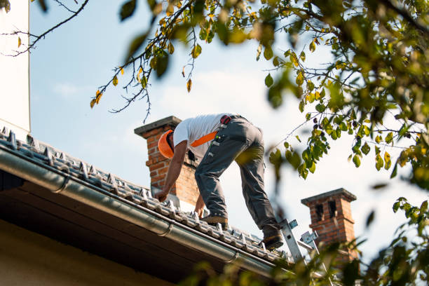 Best New Roof Installation  in Munising, MI