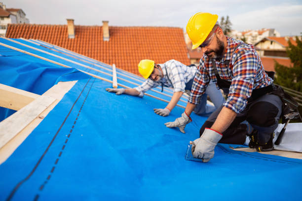 Best New Roof Installation  in Munising, MI
